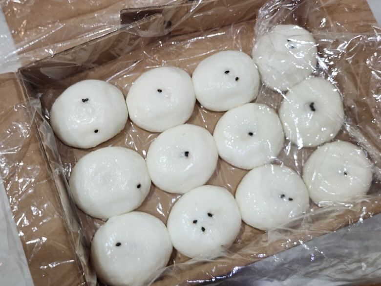 [크기변환]KakaoTalk_20250227_113412806_02.jpg