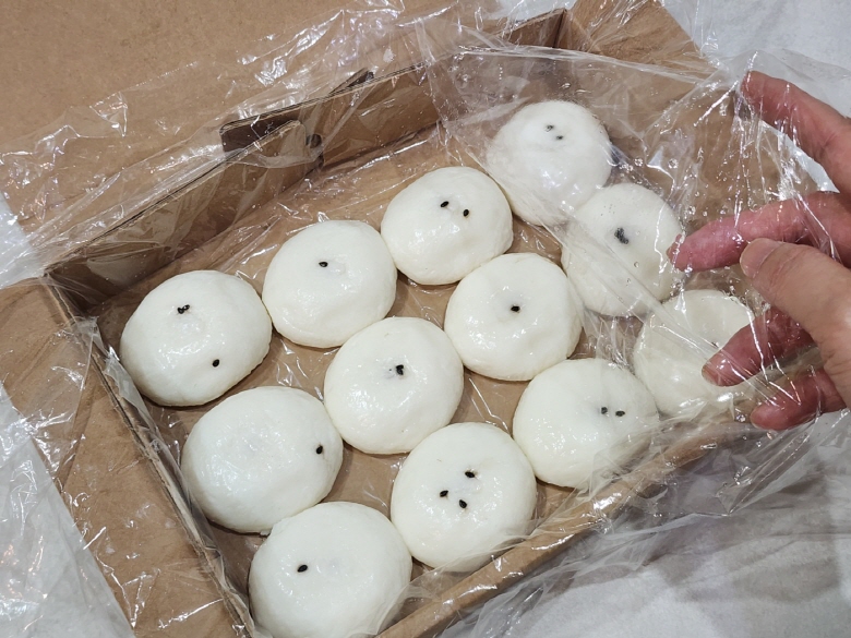 [크기변환]KakaoTalk_20250227_113331828_28.jpg