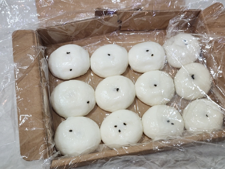 [크기변환]KakaoTalk_20250227_113412806_01.jpg