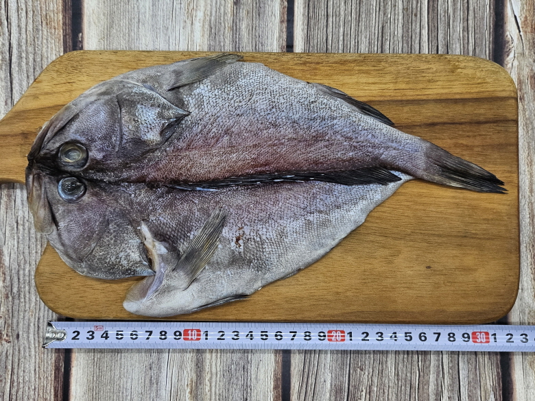 반건조 능성어 2미 40.jpg