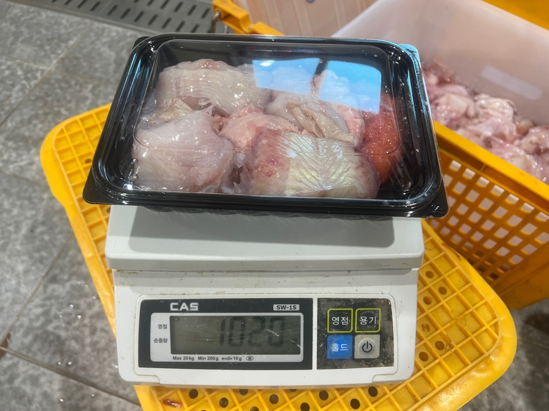 KakaoTalk_20250106_131758976_01.jpg