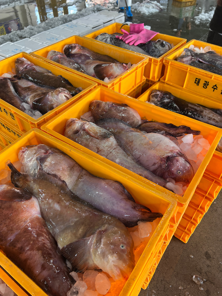 KakaoTalk_20250106_115203500_01.jpg
